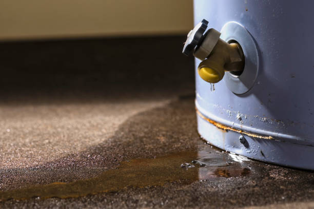 Best Fire Damage Restoration  in Winnebago, MN