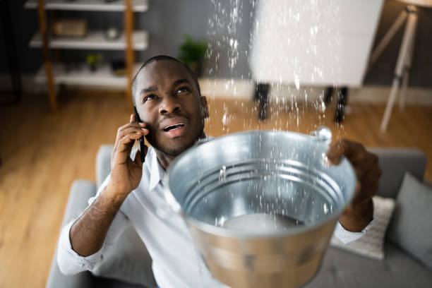 Best Carpet water damage restoration  in Winnebago, MN