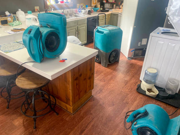 Best Emergency water damage restoration  in Winnebago, MN