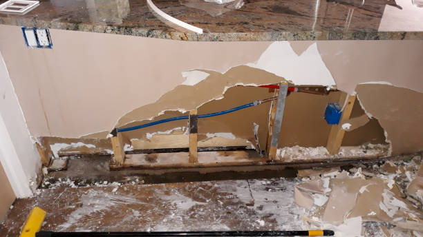 Best Mold removal after water damage  in Winnebago, MN