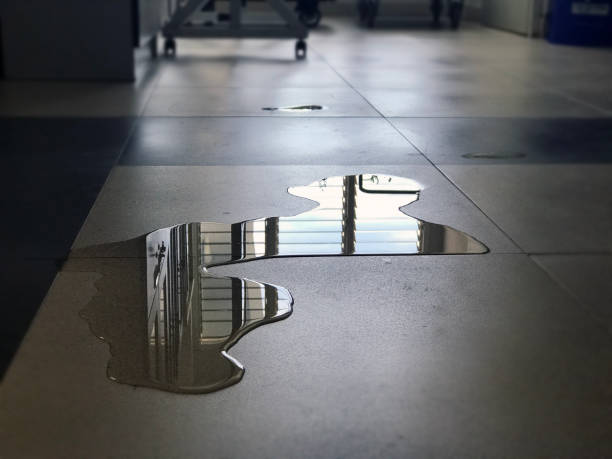 Best Commercial water damage restoration  in Winnebago, MN