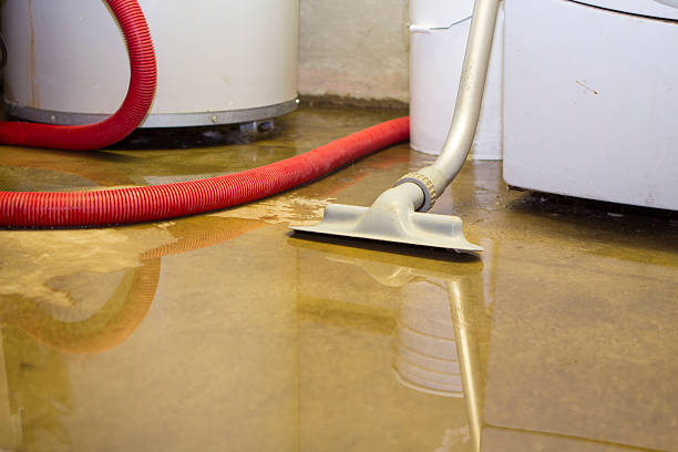 Best Flood restoration services  in Winnebago, MN