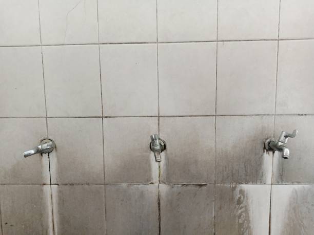 Best Water damage cleanup near me  in Winnebago, MN