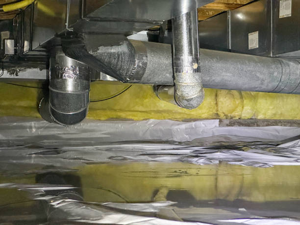 Best Residential water damage restoration  in Winnebago, MN