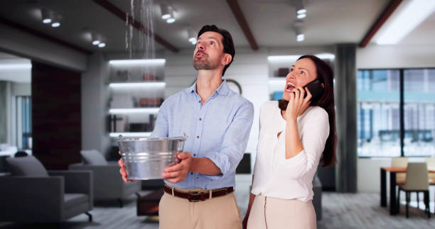 Best Local water damage restoration  in Winnebago, MN
