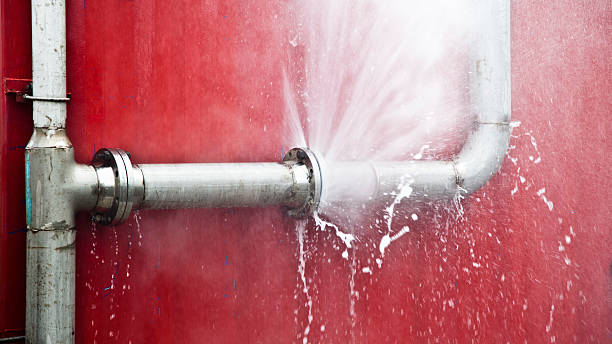 Best Ceiling water damage repair  in Winnebago, MN